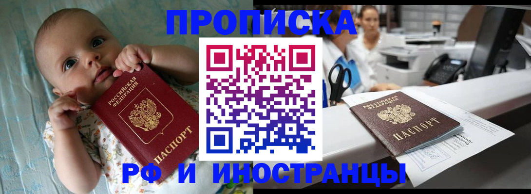 прописка поиск в Ногинске